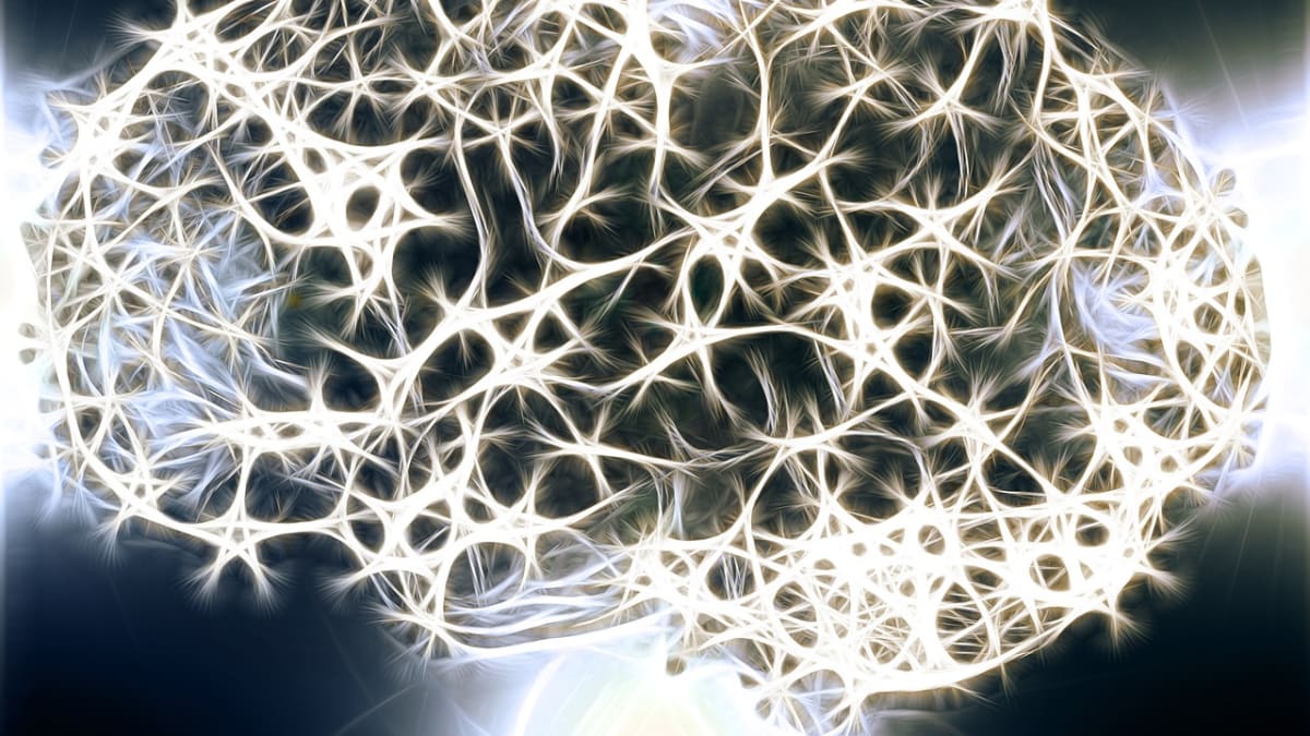 hvězdná mapa neurální mozkové sítě