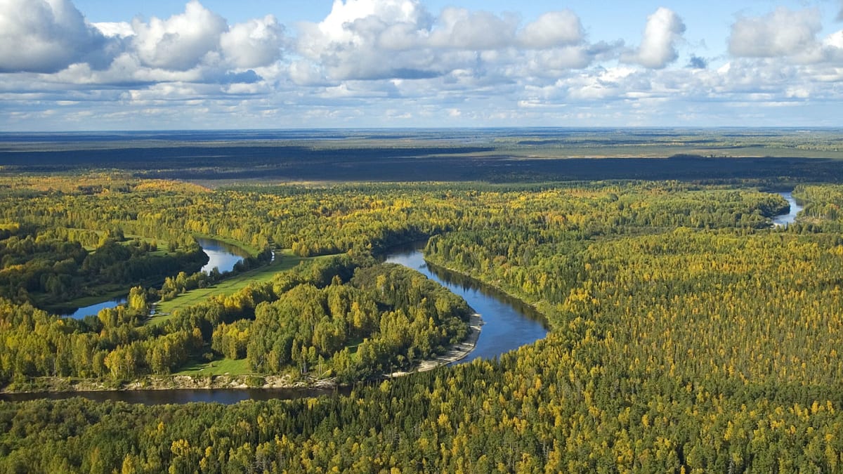 Sibiřská tajga – povodí řeky Vasjugan