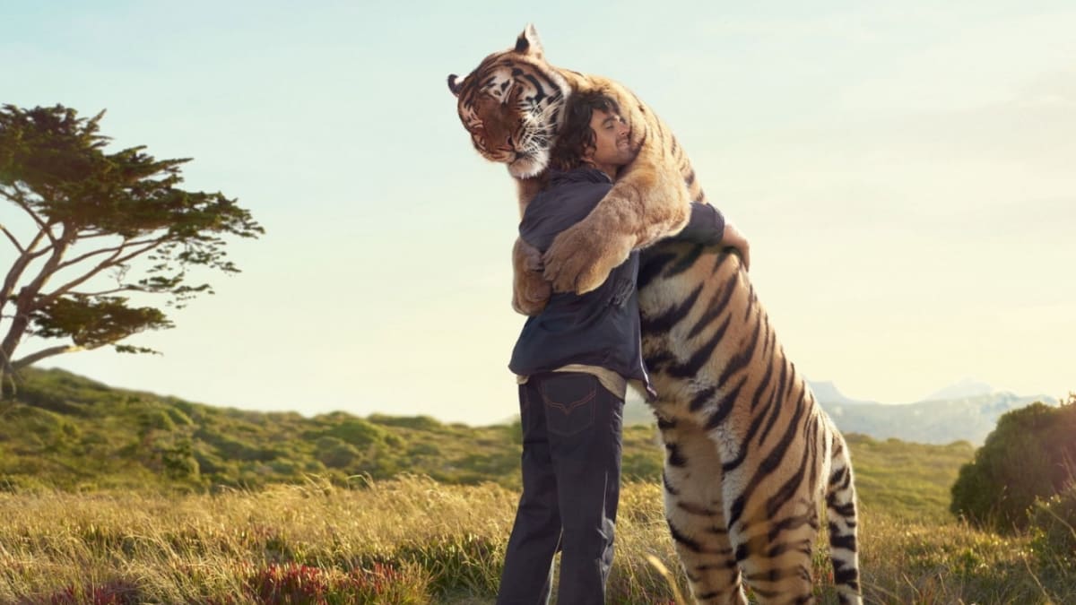 Objímání člověka a tygra