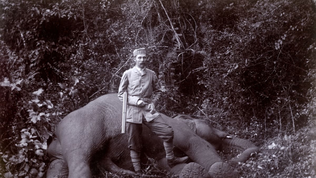 František D´Este jako lovec slonů