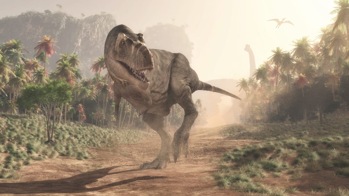 Tyranosaurus rex