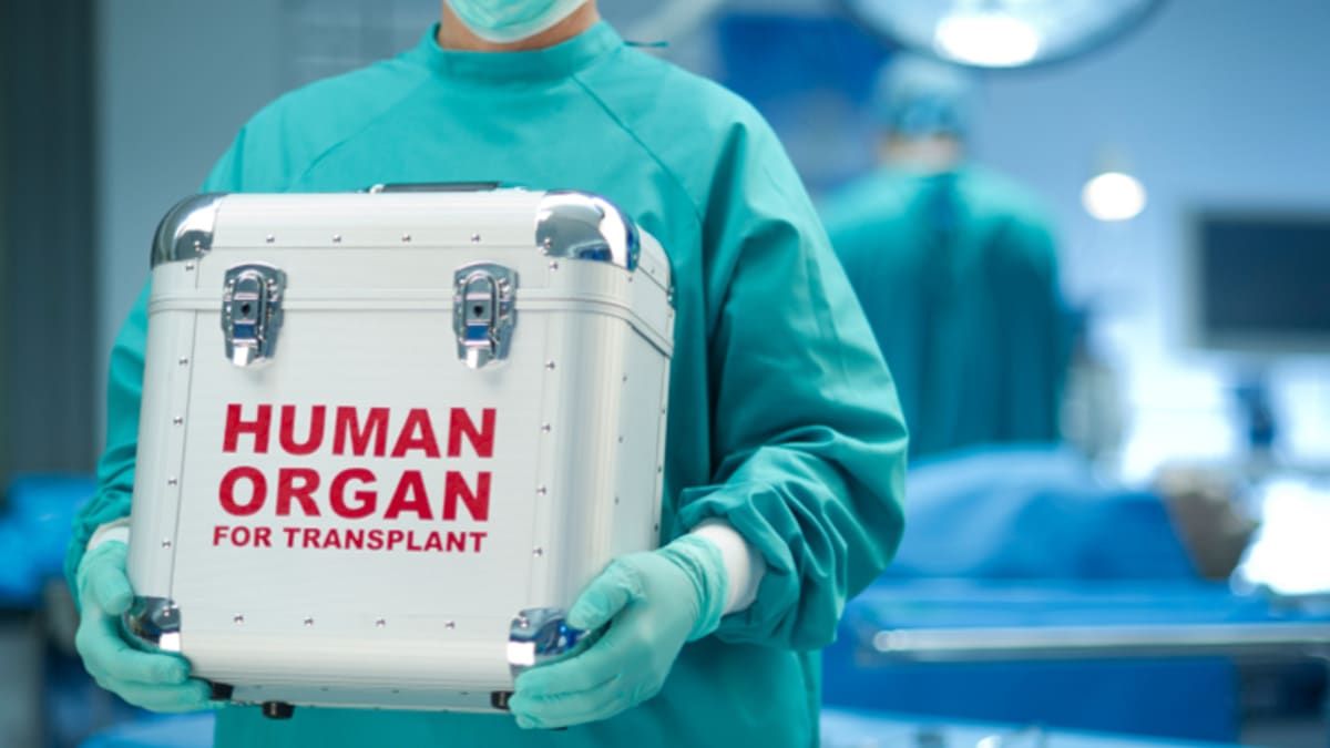 Orgány na transplantaci