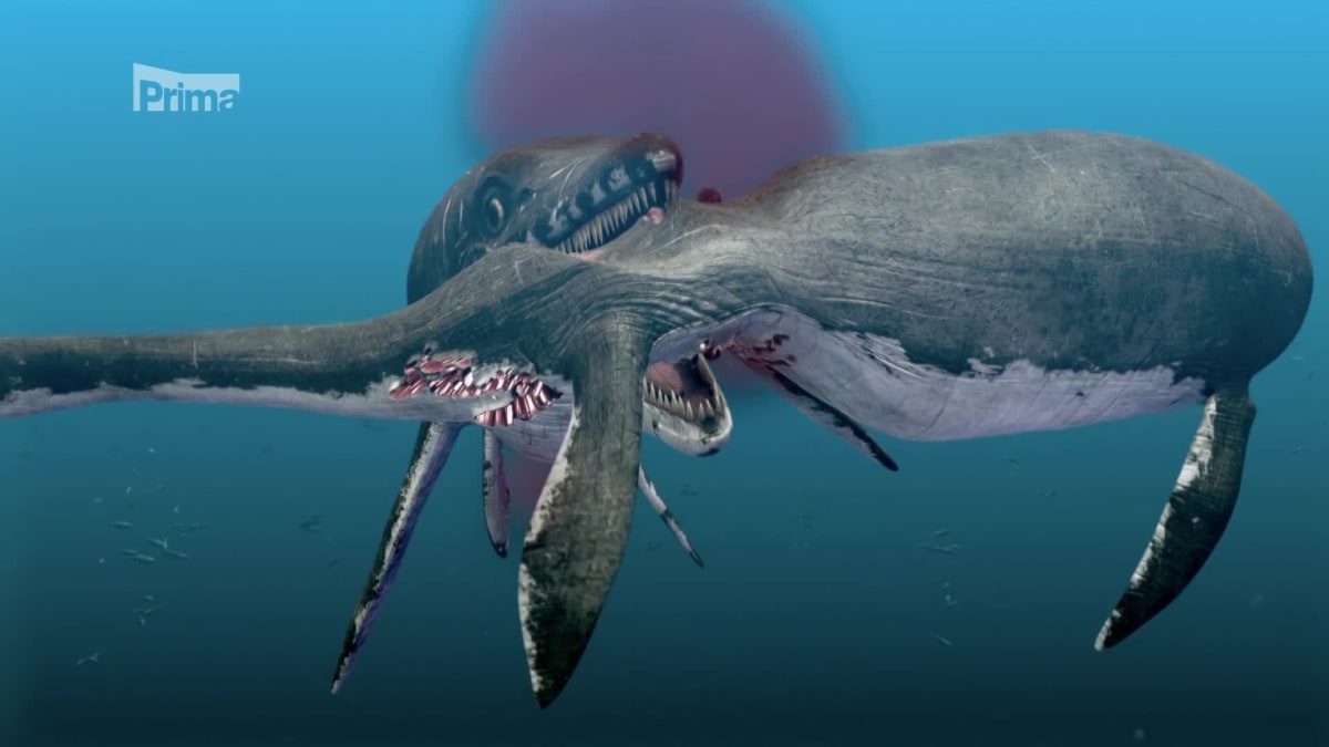 Pravěké mořské příšery - ichtyosaurus
