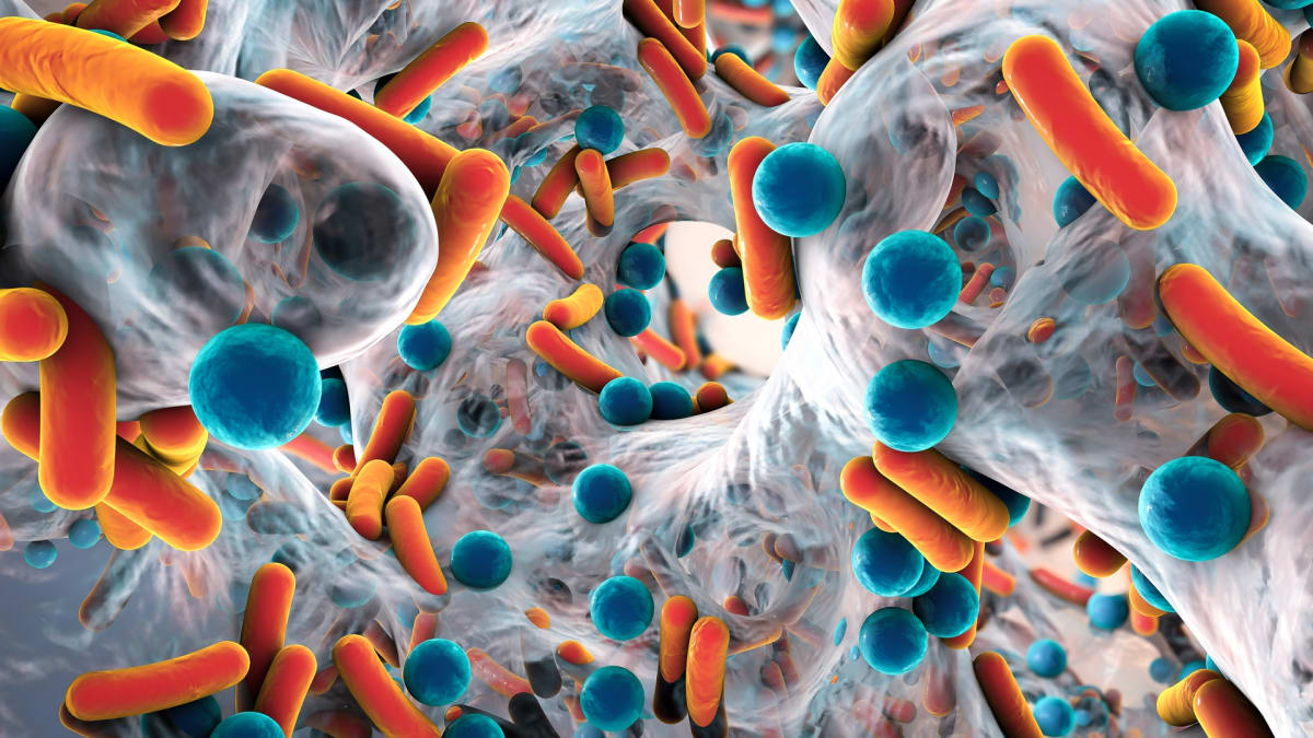 Jsou bakterie odpovědí na odvěkou otázku rakoviny?
