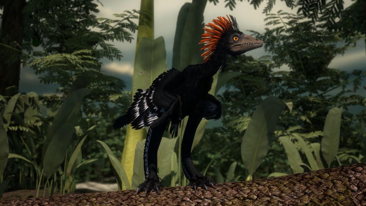 Takhle mohl vypadat malý opeřený dinosaurus Anchiornis huxleyi