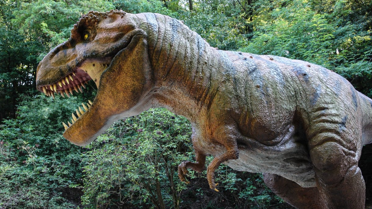 Čumák tyranosaura byl mohutný, leč citlivý.
