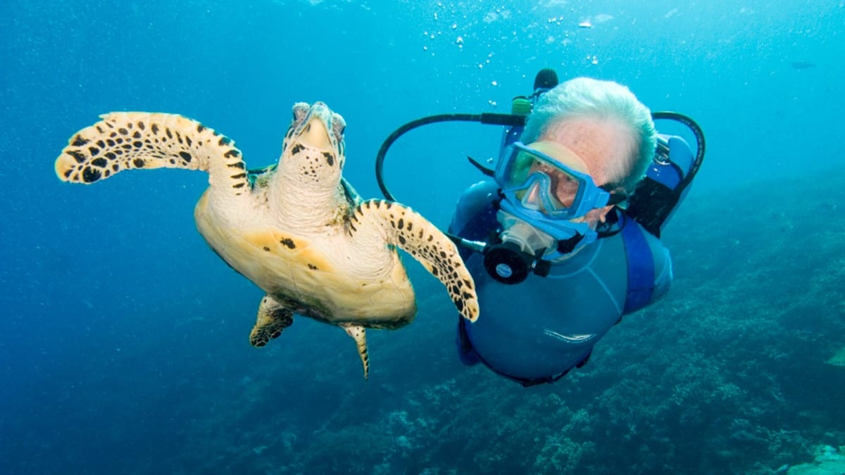 Jean-Michel Cousteau: Podmořské dobrodružství