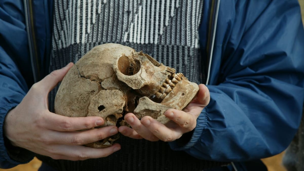 Archeologové analyzovali stovky koster Vikingů