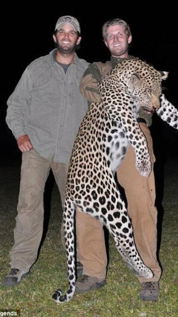 Donald (vlevo) a Eric Trumpovi pózují s leopardem, kterého ulovili při lovecké výpravě do Zimbabwe