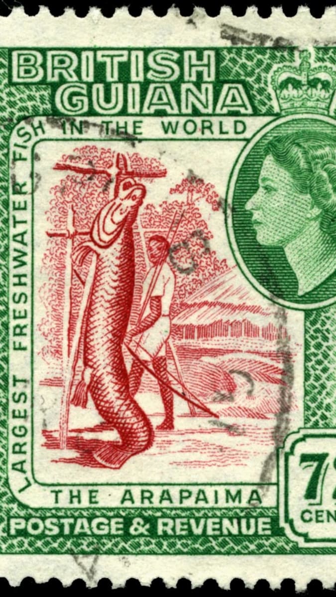 Arapaima a její lovec na poštovní známce