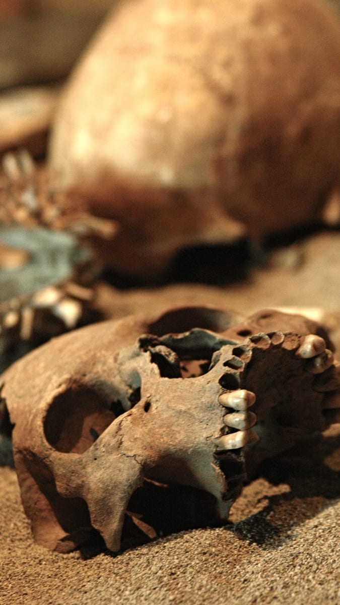 Odkrytý hrob - antropologické muzeum Mexico City