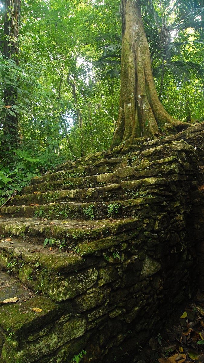 Mayské ruiny znovu pohlcené pralesem