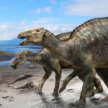 Hypotetická ekologická scéna se zástupci rodu Kamuysaurus.