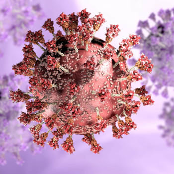 Omikron má jiné příznaky než původní virus
