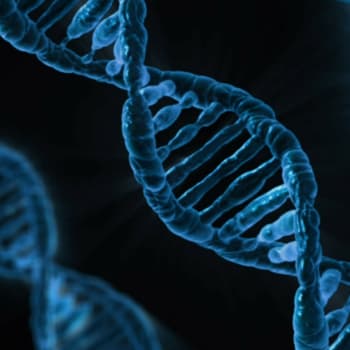 Lidská DNA
