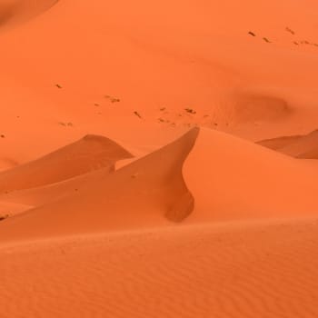 Sahara - marocké pouštní duny