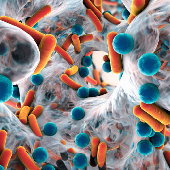Jsou bakterie odpovědí na odvěkou otázku rakoviny?