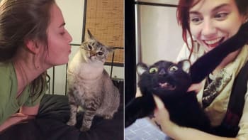 15 fotek, na kterých kočky jednoznačně odmítají mazlení