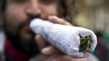 Co způsobila legalizace marihuany v Coloradu? Nepřestanete se divit!