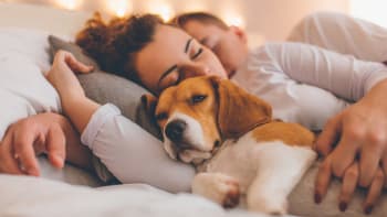 Je pro váš spánek lepší, když máte v posteli dalšího člověka, anebo psa?