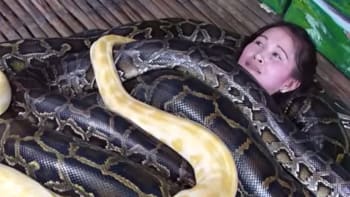 VIDEO: Hadí masáž na Filipínách je jen pro odvážné