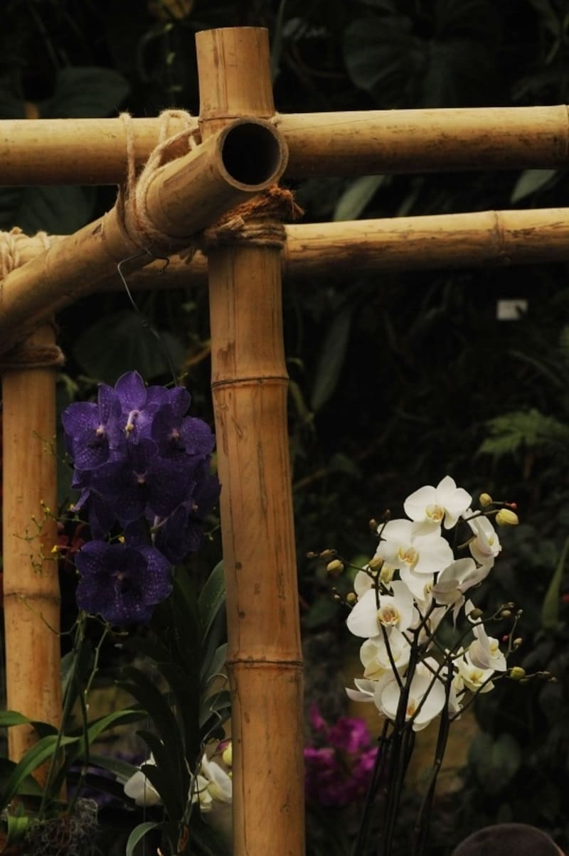 Bambusová konstrukce