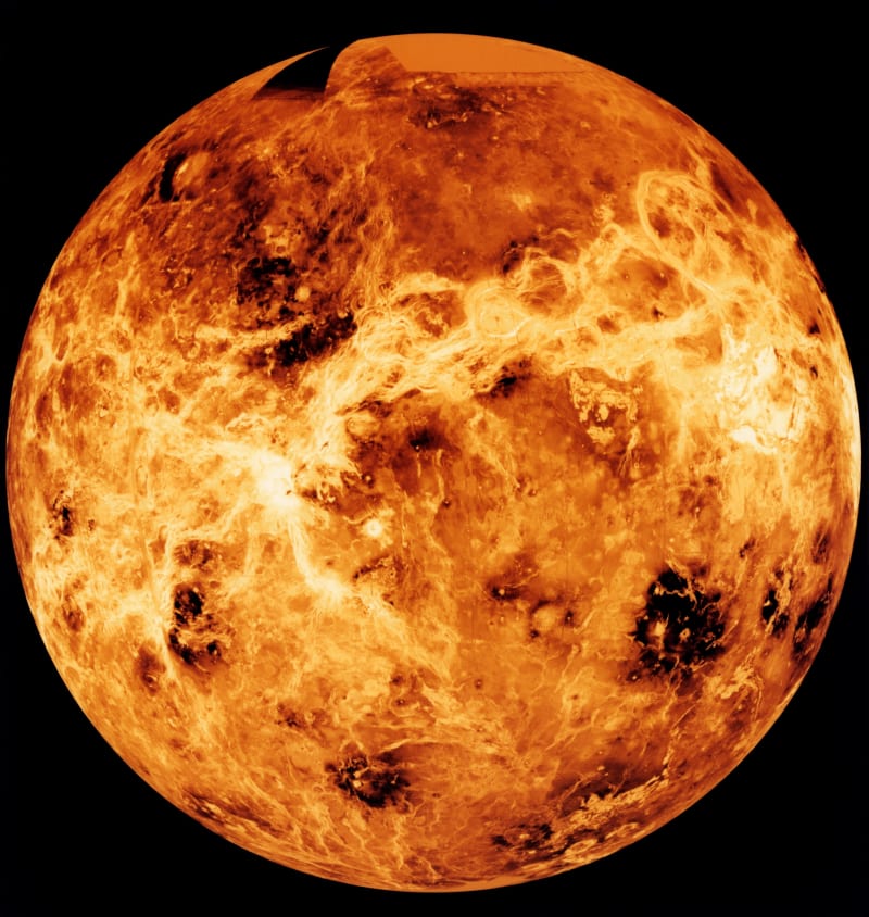 Venuše