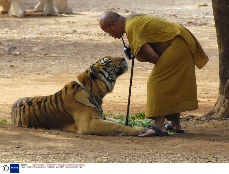 Tygří chrám v Thajsku - Obrázek 1