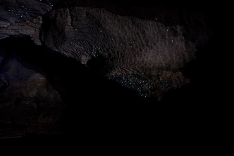 Jeskyně zářících larev - Obrázek 5