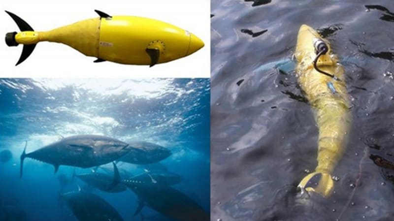 Neviditelný bojový robo-tuňák - Obrázek 2