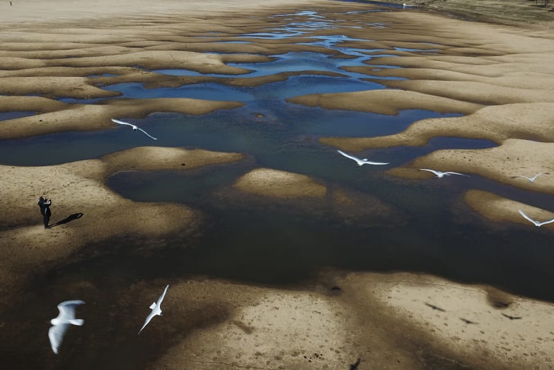 Ptáci přelétají nad fotografem, který 29. července 2021 pořizuje snímky vysychající řeky Paraná poblíž argentinského Rosaria