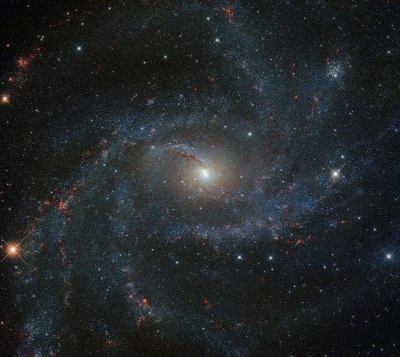 Galaxie NGC 6946 vypadá jako ohňostroj. Za posledních sto let se v ní objevilo deset supernov