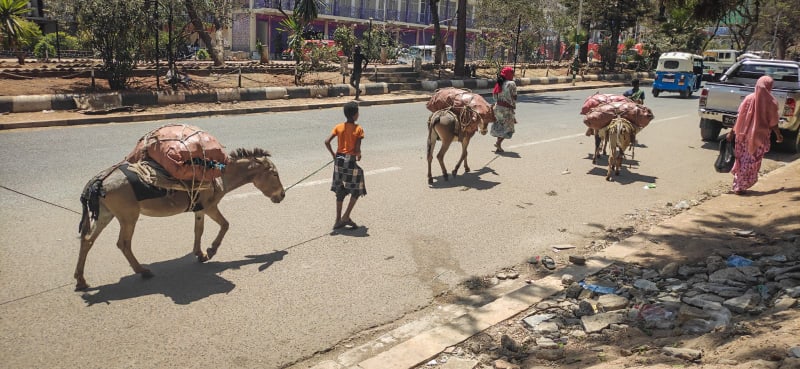 Poklidný život v Etiopii