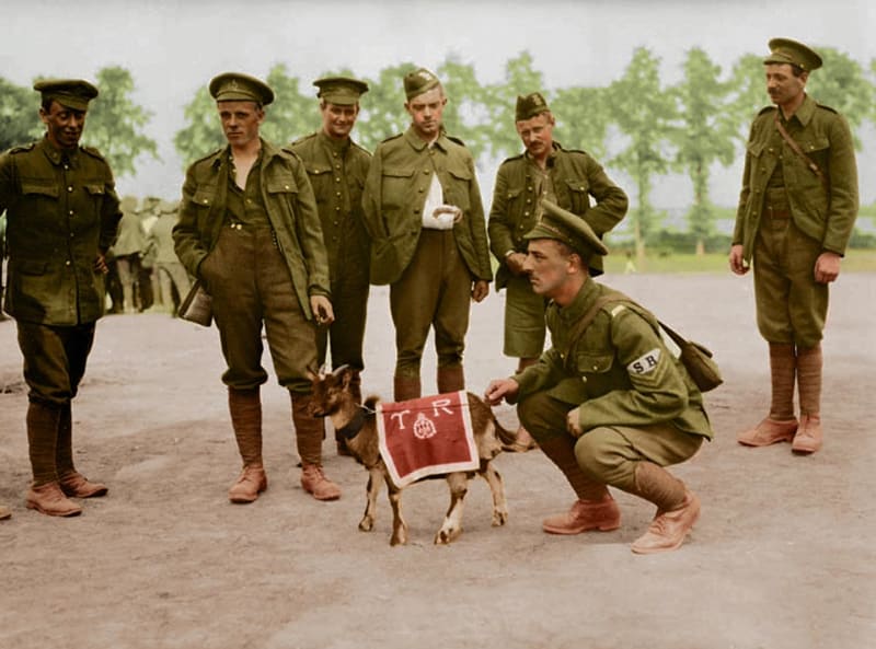 Kanadská pěchota se svým zvířecím maskotem