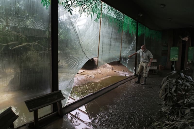 Sklo uvnitř Pavilonu velkých želv minulé povodně vydrželo. Bylo však asi poškozené, takže tenotkrát