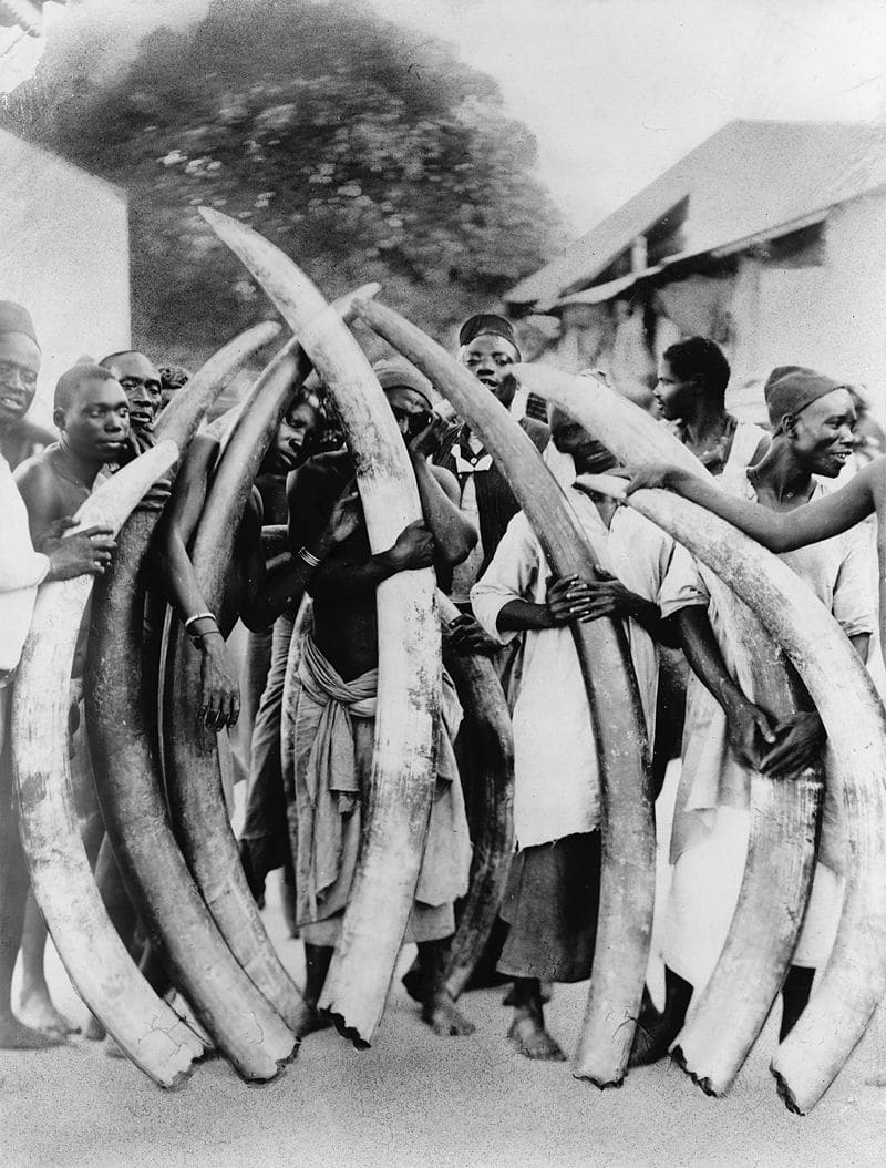 Historická fotografie obchodu se slonovinou v Dar es Salaam, dnešní Tanzánie