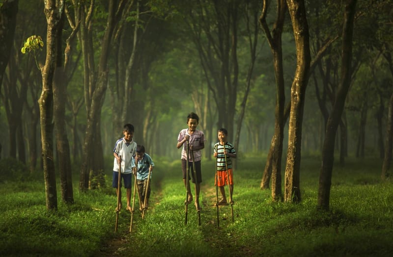 Mizející ráj indonéských džunglí - Obrázek 4