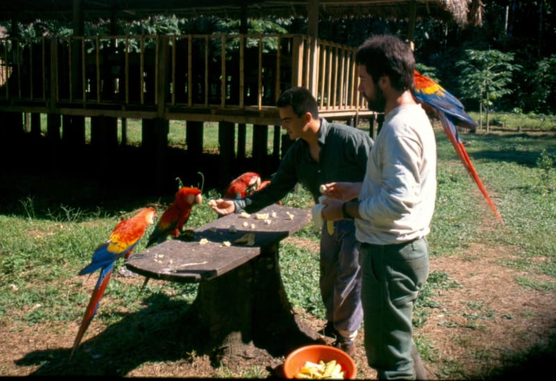 Tajemství papoušků - Obrázek 10
