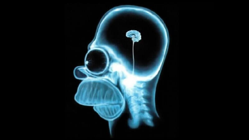 Vtip s mozkem Homera Simpsona možná budete po dnešku vnímat trochu jinak (ilustrační foto)