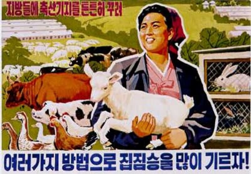 Severokorejská propaganda