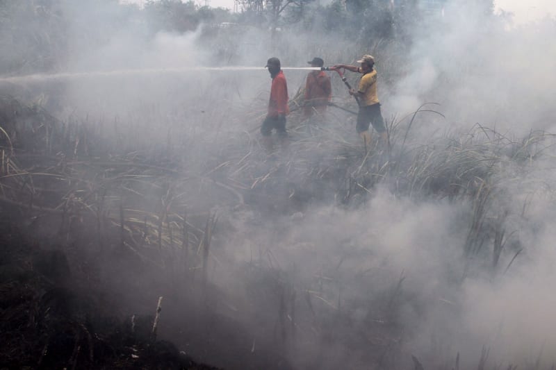 Obří lesní požáry v Indonésii - Obrázek 2