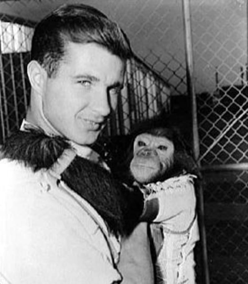 Enos šel ve stopách Hama, jako první šimpanz obletěl Zemi. Zemřel rok po návratu z vemíru.