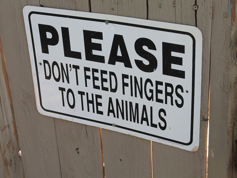 "Prosíme, nekrme zvířata svými prsty!"