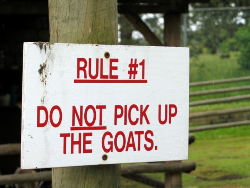 "Pravidlo číslo 1: Nezvedejte naše kozy!" A napadlo by vás to snad někoho?