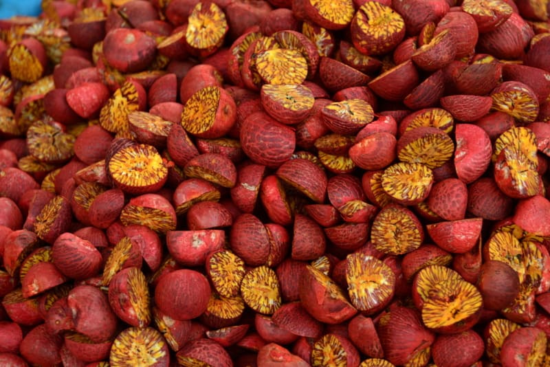 Barmské arekové ořechy na tržišti