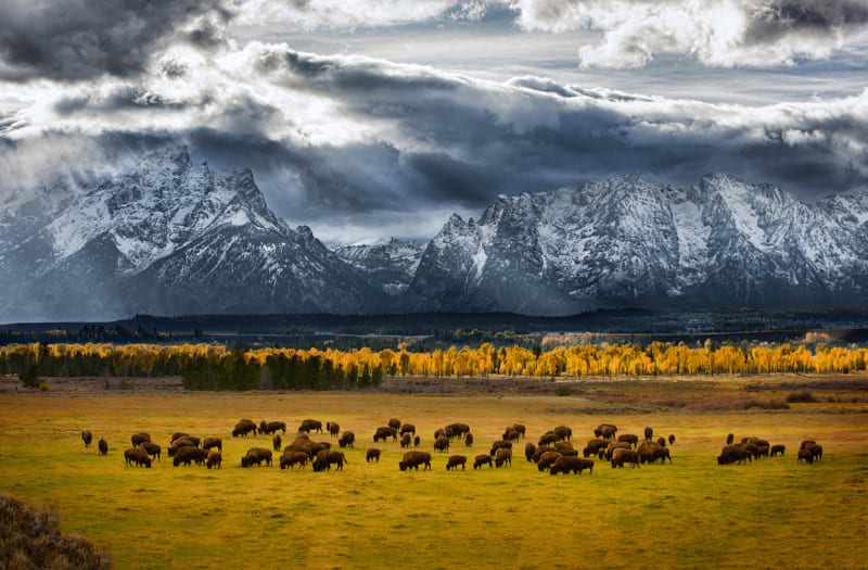 Kde se pasou bizoni, FOTO: Glen Hush