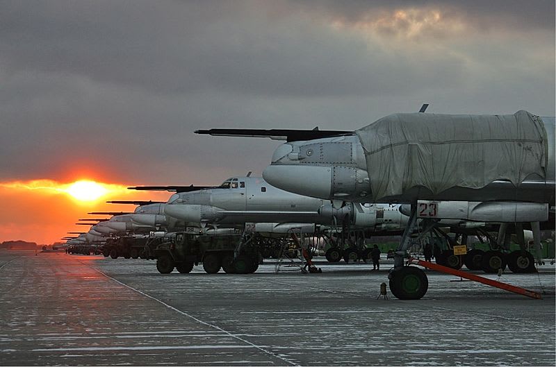 Bombardovací medvěd Tu-95 - Obrázek 2