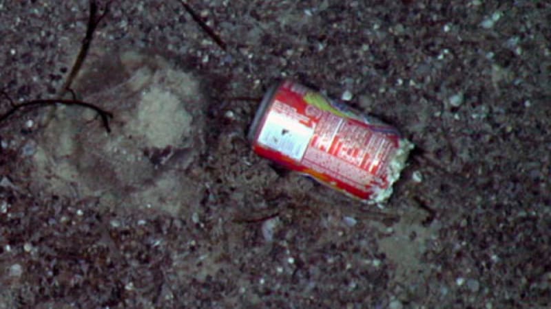 Horší reklamu by asi Coca Cola jen těžko hledala.