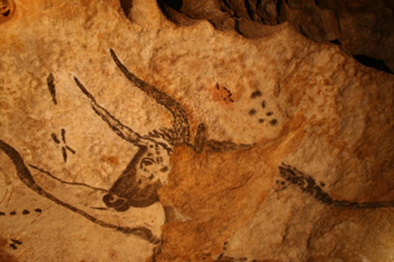 Jeskyně Lascaux - Obrázek 3