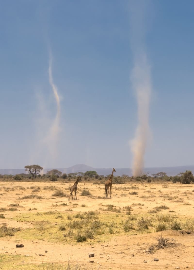 Pro Amboseli jsou typické prachové víry – nejsou nebezpečné, ale zato působivé...